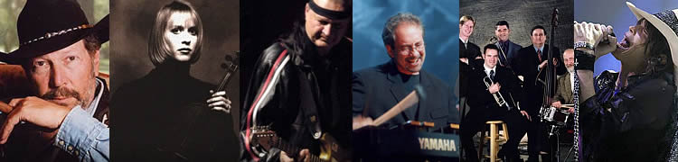 Book Headline Musical Acts on Steiner Talent